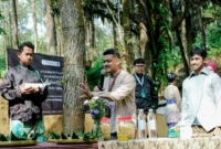 Forest Wellness Experience Purworejo Jadi Pilihan Wisatawan untuk Menemukan Ketenangan Diri Saat Liburan (foto: purworejosport)
