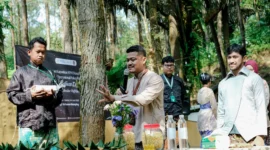 Forest Wellness Experience Purworejo Jadi Pilihan Wisatawan untuk Menemukan Ketenangan Diri Saat Liburan (foto: purworejosport)