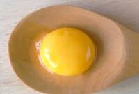 Pilih Putih Telur atau Telur Utuh? Mana lebih sehat, Simak Perbedaannya (foto: hellosehat)