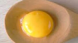 Pilih Putih Telur atau Telur Utuh? Mana lebih sehat, Simak Perbedaannya (foto: hellosehat)