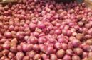 Inovasi Bawang Merah Berkelanjutan Dorong Sistem Produksi yang Lebih Efisien (foto: surabayapagi)