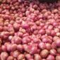 Inovasi Bawang Merah Berkelanjutan Dorong Sistem Produksi yang Lebih Efisien (foto: surabayapagi)