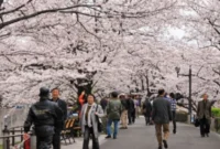 Pajak Keberangkatan Jepang Naik Mulai 1 Juli 2026, Wisatawan Perlu Siapkan Biaya Tambahan (foto: japanesestation)