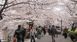 Pajak Keberangkatan Jepang Naik Mulai 1 Juli 2026, Wisatawan Perlu Siapkan Biaya Tambahan (foto: japanesestation)