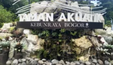 Optimalisasi Aset Negara Jadi Sorotan, Mengapa Kebun Raya Bogor Dijadikan Percontohan Nasional? (foto: kebunraya)