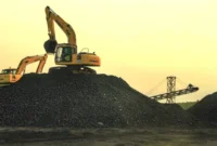 Akses Listrik Kalimantan Masih Terbatas, DPR Soroti Daerah Kaya Batu Bara yang Belum Teraliri Energi (foto: forestdigest)