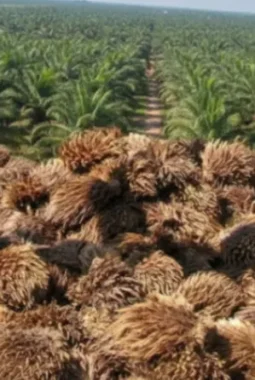 Pemanfaatan Limbah Industri Dorong Inovasi Pertanian dan Kelestarian Lingkungan