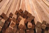 Teknologi Pengendalian Rayap BRIN Bantu Warga Lindungi Bangunan dan Aset Kayu (foto: rajawaliparket)