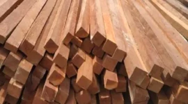Teknologi Pengendalian Rayap BRIN Bantu Warga Lindungi Bangunan dan Aset Kayu (foto: rajawaliparket)