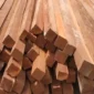 Teknologi Pengendalian Rayap BRIN Bantu Warga Lindungi Bangunan dan Aset Kayu (foto: rajawaliparket)