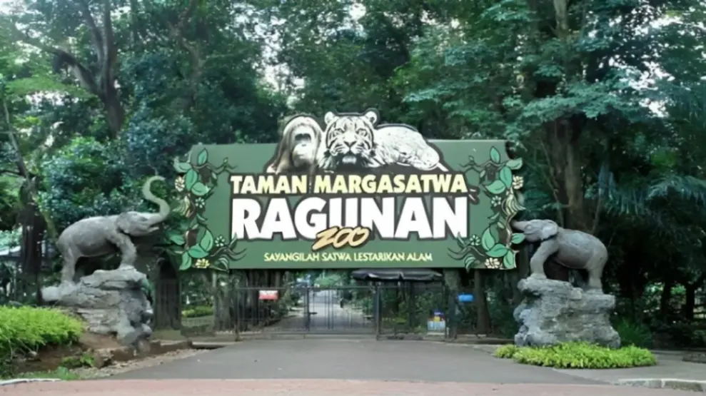 Masuk Ragunan Gratis Selama HUT Jakarta, Ini Jadwal dan Rangkaian Kegiatannya (foto: viralterkini)
