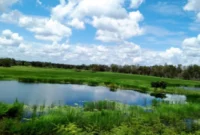 Taman Nasional Wasur Jadi Ikon Wisata Papua Selatan, Promosi Destinasi Kelas Dunia (foto: mytrip)