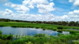 Taman Nasional Wasur Jadi Ikon Wisata Papua Selatan, Promosi Destinasi Kelas Dunia (foto: mytrip)