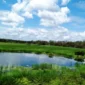 Taman Nasional Wasur Jadi Ikon Wisata Papua Selatan, Promosi Destinasi Kelas Dunia (foto: mytrip)
