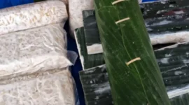 Ilmuwan Muda Terbaik 2026: Riset Kemiri dan Tempe Antar Dua Peneliti SGU Raih Nominasi Bergengsi (foto: sisipublik)
