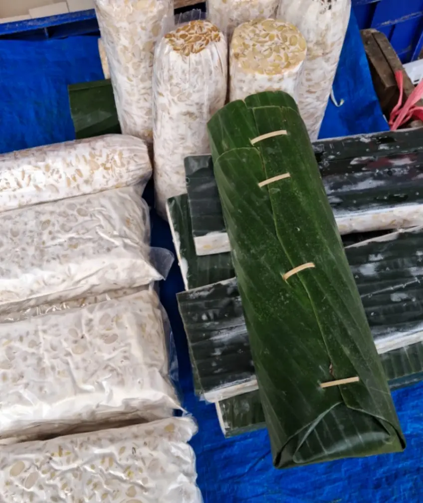 Ilmuwan Muda Terbaik 2026: Riset Kemiri dan Tempe Antar Dua Peneliti SGU Raih Nominasi Bergengsi (foto: sisipublik)