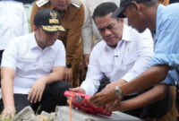 Menteri Pertanian Andi Amran Sulaiman (foto: kementerian pertanian)