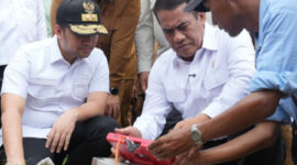 Menteri Pertanian Andi Amran Sulaiman (foto: kementerian pertanian)