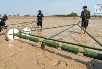 Panen padi melalui penerapan PM-AAS di Indramayu mencatat produktivitas hingga 12,35 ton per hektare (foto: kementerian pertanian)