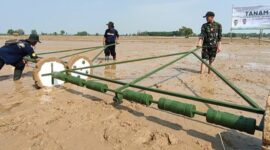 Panen padi melalui penerapan PM-AAS di Indramayu mencatat produktivitas hingga 12,35 ton per hektare (foto: kementerian pertanian)