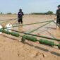 Panen padi melalui penerapan PM-AAS di Indramayu mencatat produktivitas hingga 12,35 ton per hektare (foto: kementerian pertanian)