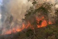 Kabut asap akibat kebakaran hutan dan lahan menurunkan kualitas udara. Kemenkes memperkuat perlindungan kesehatan bagi kelompok rentan di wilayah terdampak (Ilustrasi AI: sisipublik.com)