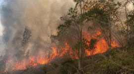 Kabut asap akibat kebakaran hutan dan lahan menurunkan kualitas udara. Kemenkes memperkuat perlindungan kesehatan bagi kelompok rentan di wilayah terdampak (Ilustrasi AI: sisipublik.com)