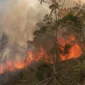 Kabut asap akibat kebakaran hutan dan lahan menurunkan kualitas udara. Kemenkes memperkuat perlindungan kesehatan bagi kelompok rentan di wilayah terdampak (Ilustrasi AI: sisipublik.com)