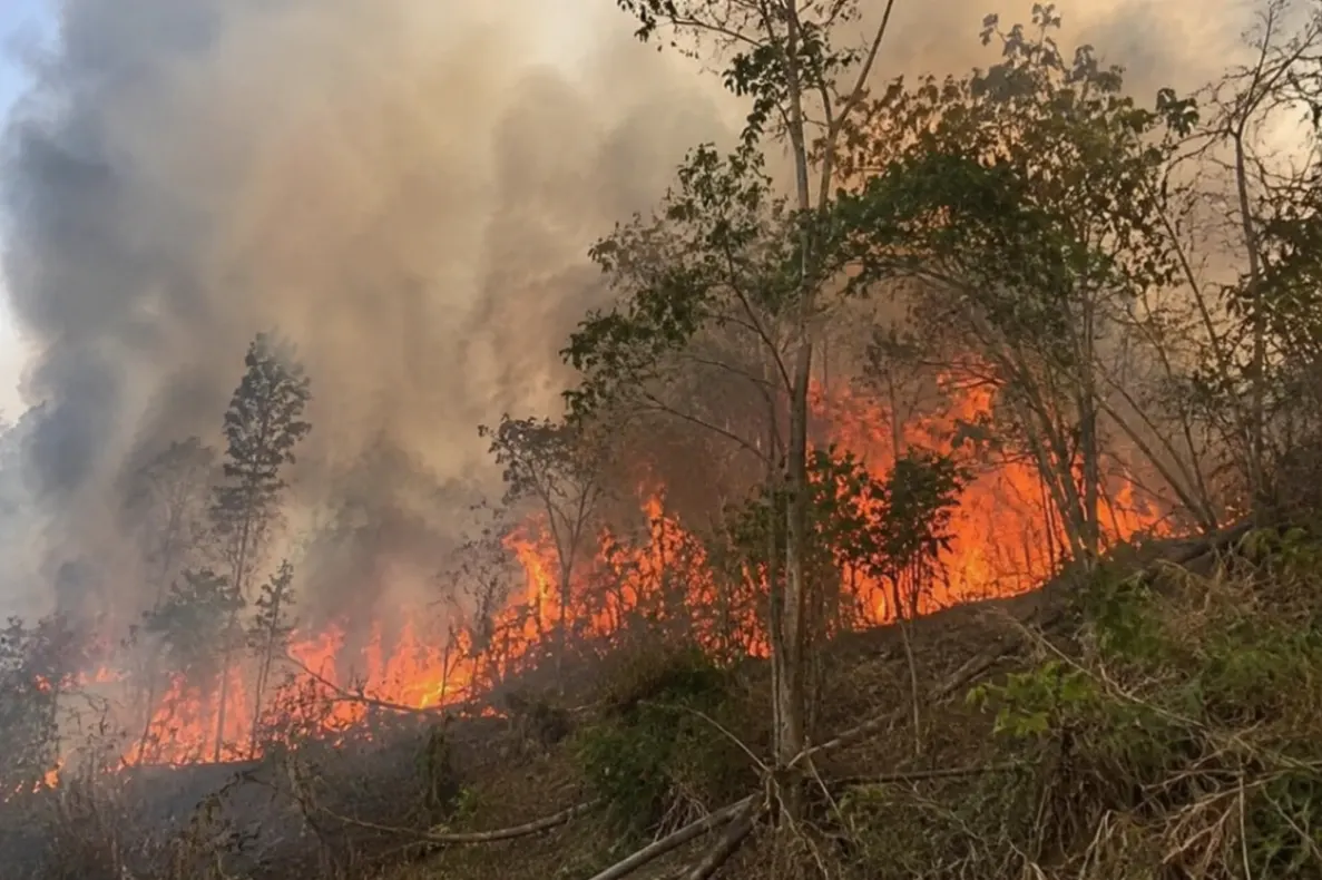 Kabut asap akibat kebakaran hutan dan lahan menurunkan kualitas udara. Kemenkes memperkuat perlindungan kesehatan bagi kelompok rentan di wilayah terdampak (Ilustrasi AI: sisipublik.com)