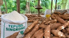 Pati singkong yang dikembangkan BRIN untuk mendukung respons awal dan pengendalian karhutla (ilustrasi AI: sisipublik.com)