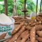 Pati singkong yang dikembangkan BRIN untuk mendukung respons awal dan pengendalian karhutla (ilustrasi AI: sisipublik.com)