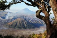 Kawasan Gunung Bromo kembali menerima wisatawan setelah penanganan kebakaran di Taman Nasional Bromo Tengger Semeru (foto: biro komunikasi kemenpar)