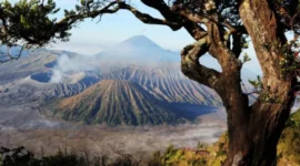 Kawasan Gunung Bromo kembali menerima wisatawan setelah penanganan kebakaran di Taman Nasional Bromo Tengger Semeru (foto: biro komunikasi kemenpar)
