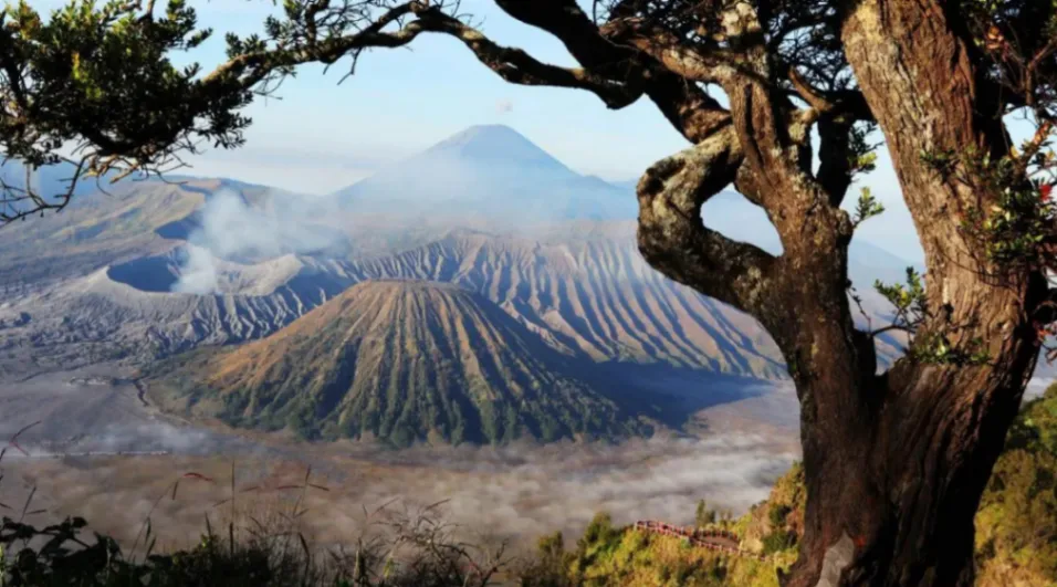 Kawasan Gunung Bromo kembali menerima wisatawan setelah penanganan kebakaran di Taman Nasional Bromo Tengger Semeru (foto: biro komunikasi kemenpar)