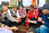 Menteri Kehutanan Raja Juli Antoni saat meninjau kawasan restorasi gambut di Tanjung Leban, Kabupaten Bengkalis, Riau (foto: kementerian pekerjaan umum)