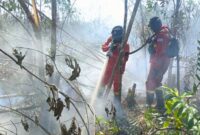 Tim gabungan memperkuat patroli dan penanganan karhutla meski jumlah hotspot high confidence nasional turun pada pemantauan (foto: kementerian kehutanan)