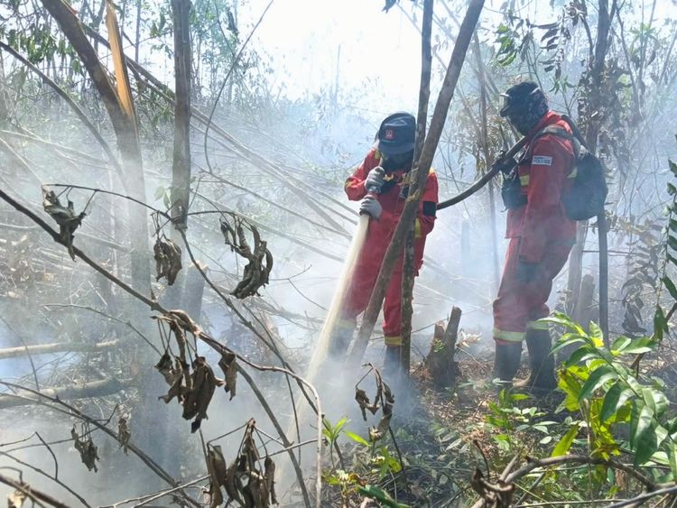 Tim gabungan memperkuat patroli dan penanganan karhutla meski jumlah hotspot high confidence nasional turun pada pemantauan (foto: kementerian kehutanan)