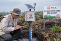 BRIN mengembangkan sistem pemantauan muka air tanah (GWL) untuk mendeteksi dini risiko kebakaran lahan gambut dan memperkuat mitigasi karhutla (Ilustrasi AI : sisipublik.com)