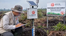 BRIN mengembangkan sistem pemantauan muka air tanah (GWL) untuk mendeteksi dini risiko kebakaran lahan gambut dan memperkuat mitigasi karhutla (Ilustrasi AI : sisipublik.com)