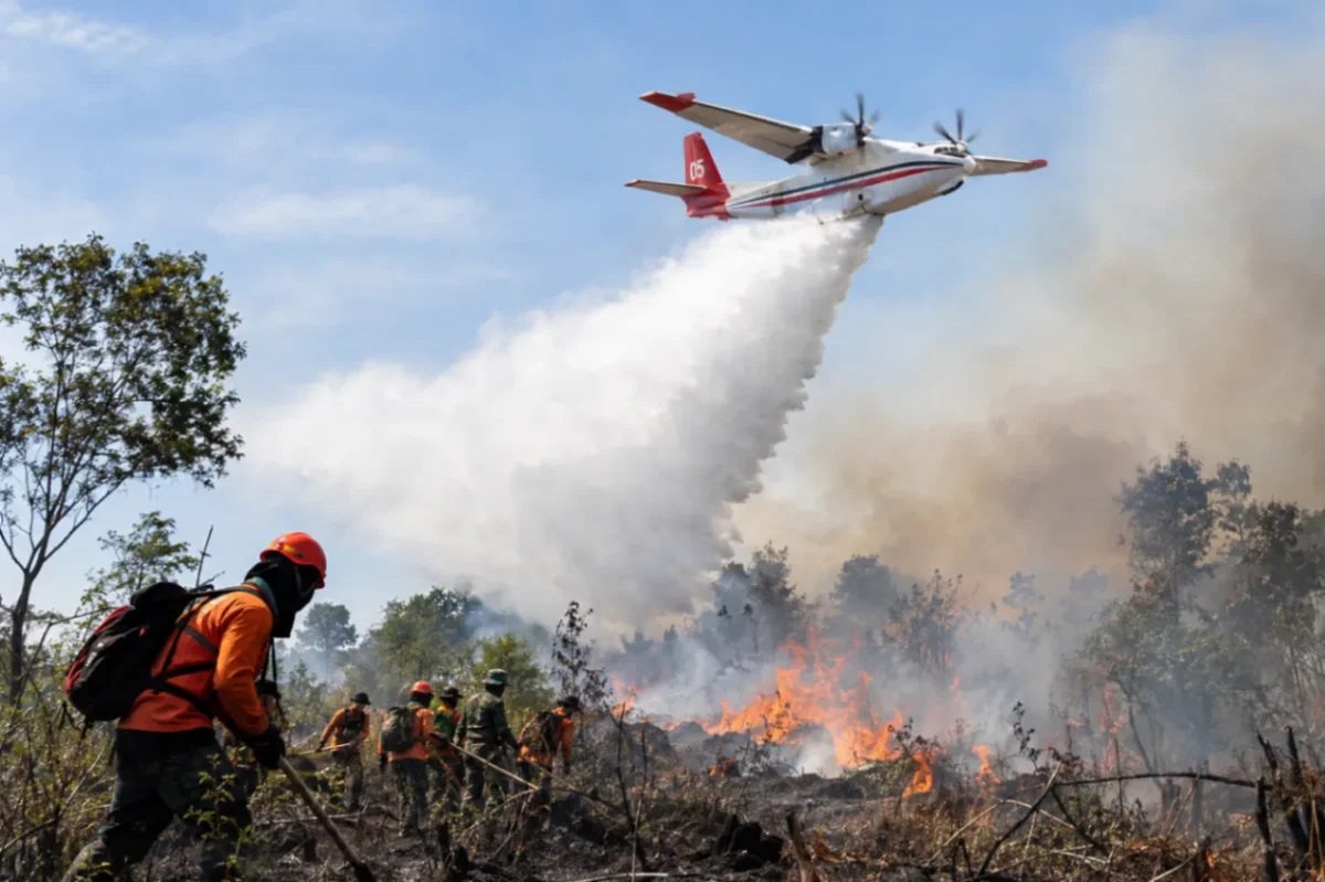Pesawat dikerahkan untuk mendukung operasi water bombing dalam penanganan kebakaran hutan dan lahan di sejumlah wilayah Indonesia. (Ilustrasi AI: sisipublik.com)