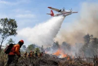 Pesawat dikerahkan untuk mendukung operasi water bombing dalam penanganan kebakaran hutan dan lahan di sejumlah wilayah Indonesia. (Ilustrasi AI: sisipublik.com)