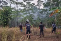 Tim Ekspedisi Patriot UGM bersama warga dan unsur terkait melakukan penanganan karhutla yang mengancam kawasan permukiman di Bupul Indah, Merauke (foto: dok. TEP UGM)