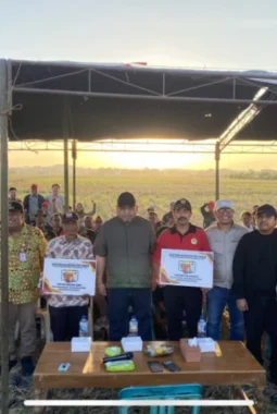1.000 Pompa Air Disiapkan untuk Jaga Panen Padi dan Jagung di Grobogan