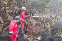 Tim gabungan memperkuat pengendalian karhutla di wilayah prioritas seiring perubahan sebaran hotspot di Sumatera dan Kalimantan (foto: kementerian kehutanan)