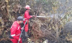 Hotspot Sumsel Turun, Kalteng Jadi Fokus Baru Pengendalian Karhutla