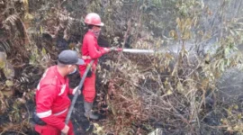 Tim gabungan memperkuat pengendalian karhutla di wilayah prioritas seiring perubahan sebaran hotspot di Sumatera dan Kalimantan (foto: kementerian kehutanan)