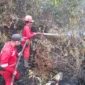 Tim gabungan memperkuat pengendalian karhutla di wilayah prioritas seiring perubahan sebaran hotspot di Sumatera dan Kalimantan (foto: kementerian kehutanan)
