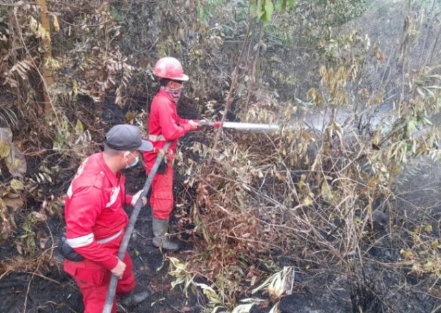 Tim gabungan memperkuat pengendalian karhutla di wilayah prioritas seiring perubahan sebaran hotspot di Sumatera dan Kalimantan (foto: kementerian kehutanan)