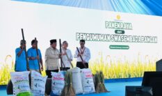 Swasembada Beras Perkuat Ketahanan Pangan, Pemerintah Benahi Distribusi Pupuk