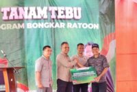 Program bongkar ratoon di Kabupaten Kediri menjadi bagian dari upaya Kementan dan PT SGN meningkatkan produktivitas kebun tebu dan menjaga pasokan bahan baku industri gula nasional (foto: kementerian pertanian)